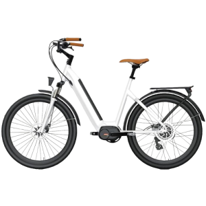 Electric Bikes